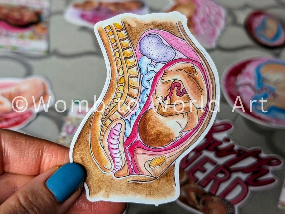 Pregnancy Anatomy Sticker 10cm