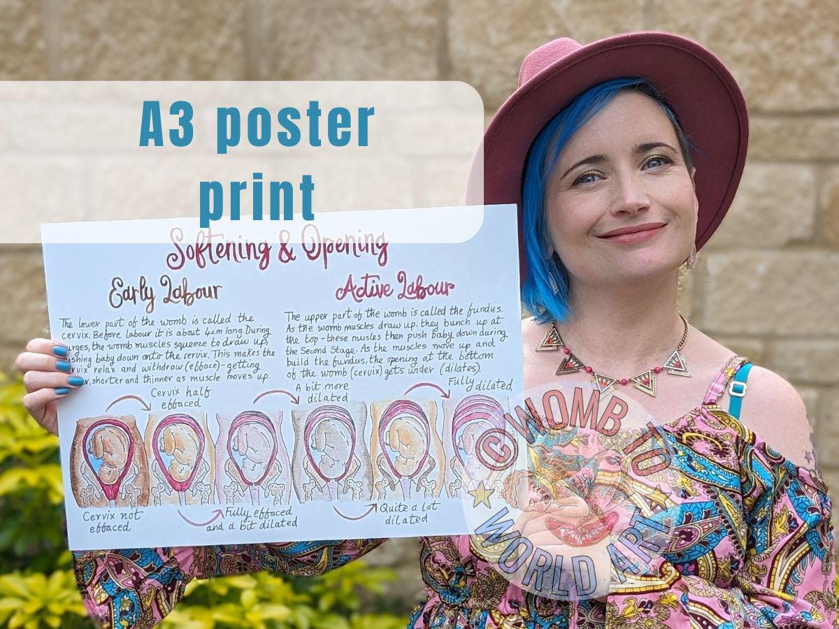Hypnobirthing A3 Poster Teaching Tool | Soften and Open | Antenatal Education | Doula | Pregnancy Gift | Birthkeeper