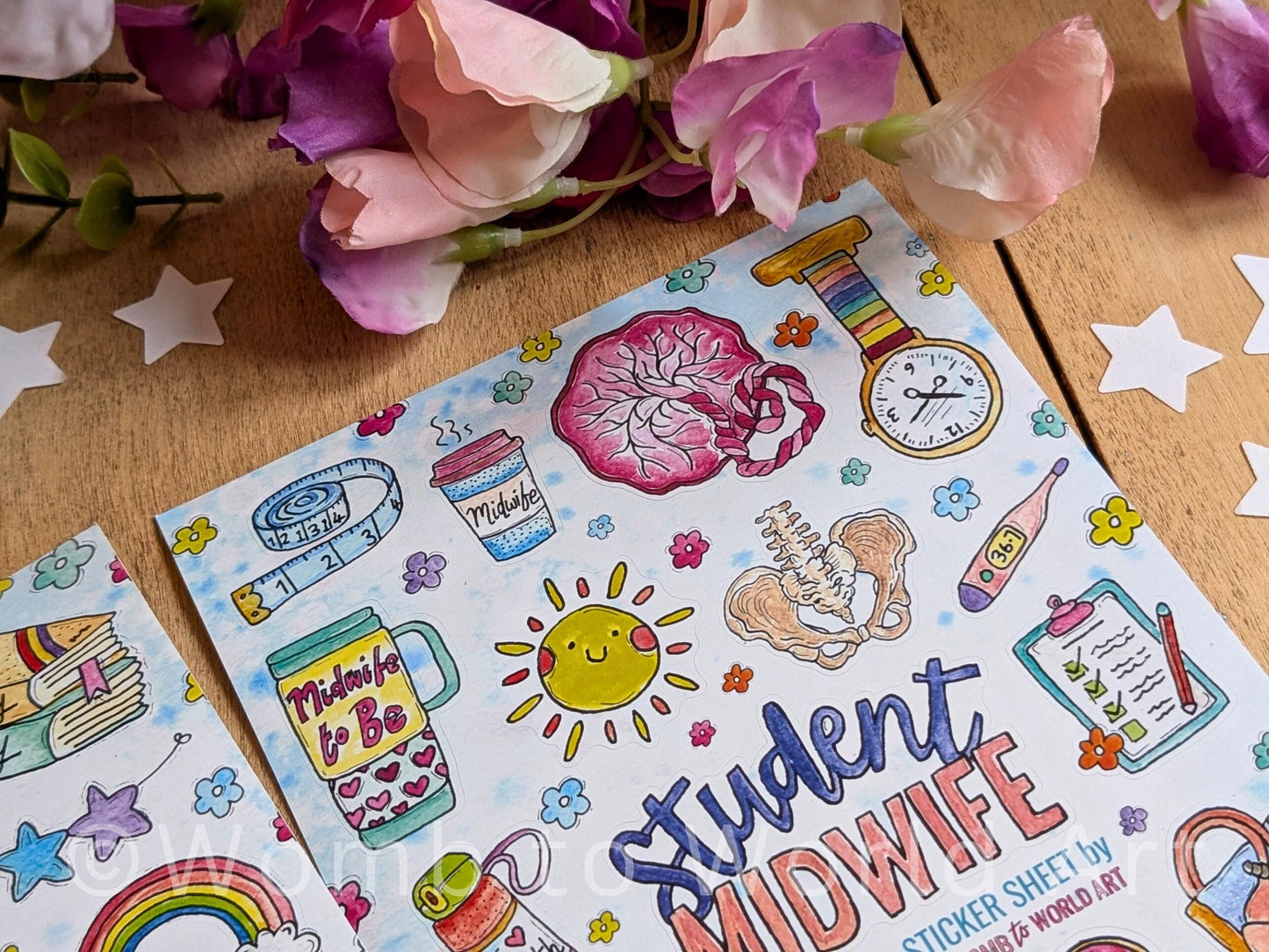 Student Midwife Vinyl Sticker Sheets 2 Pack