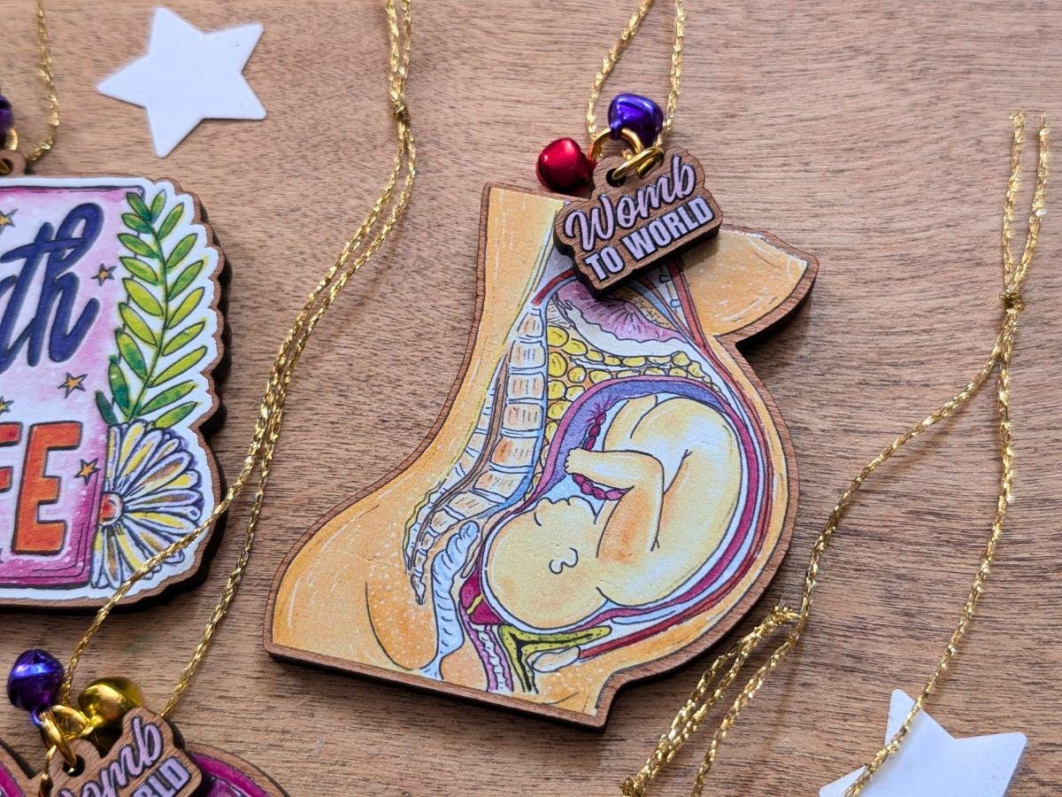 Pregnancy Anatomy Christmas Tree Decorations | Wooden Hanging Birth Art Pendants | Student Midwife | Midwife Gifts
