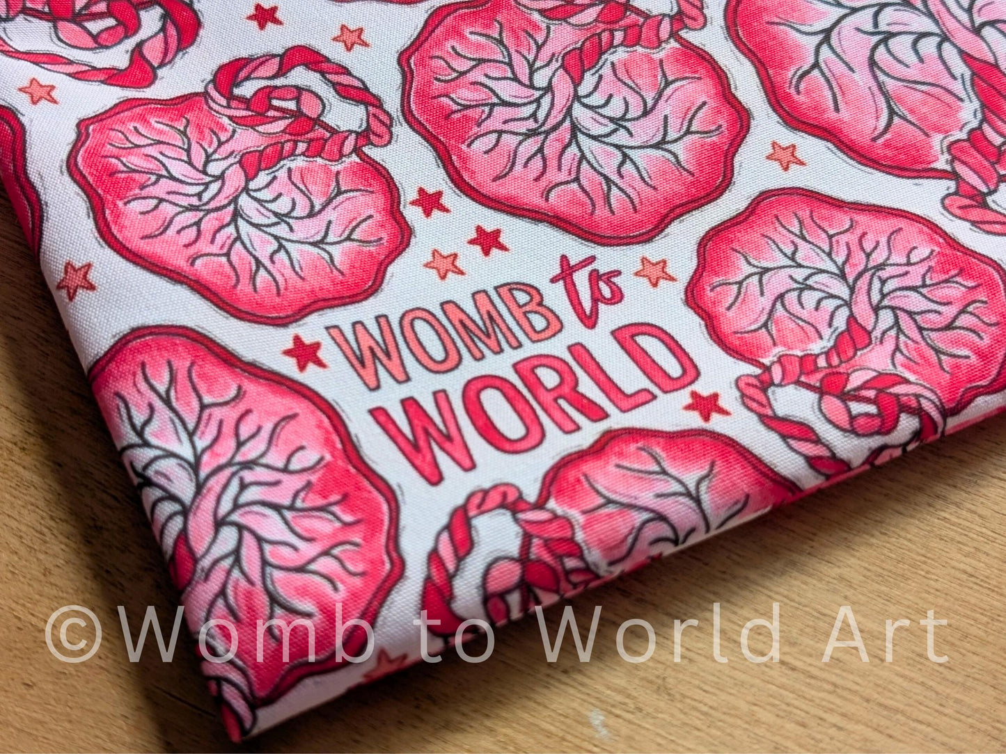 Student Midwife Placenta Bag
