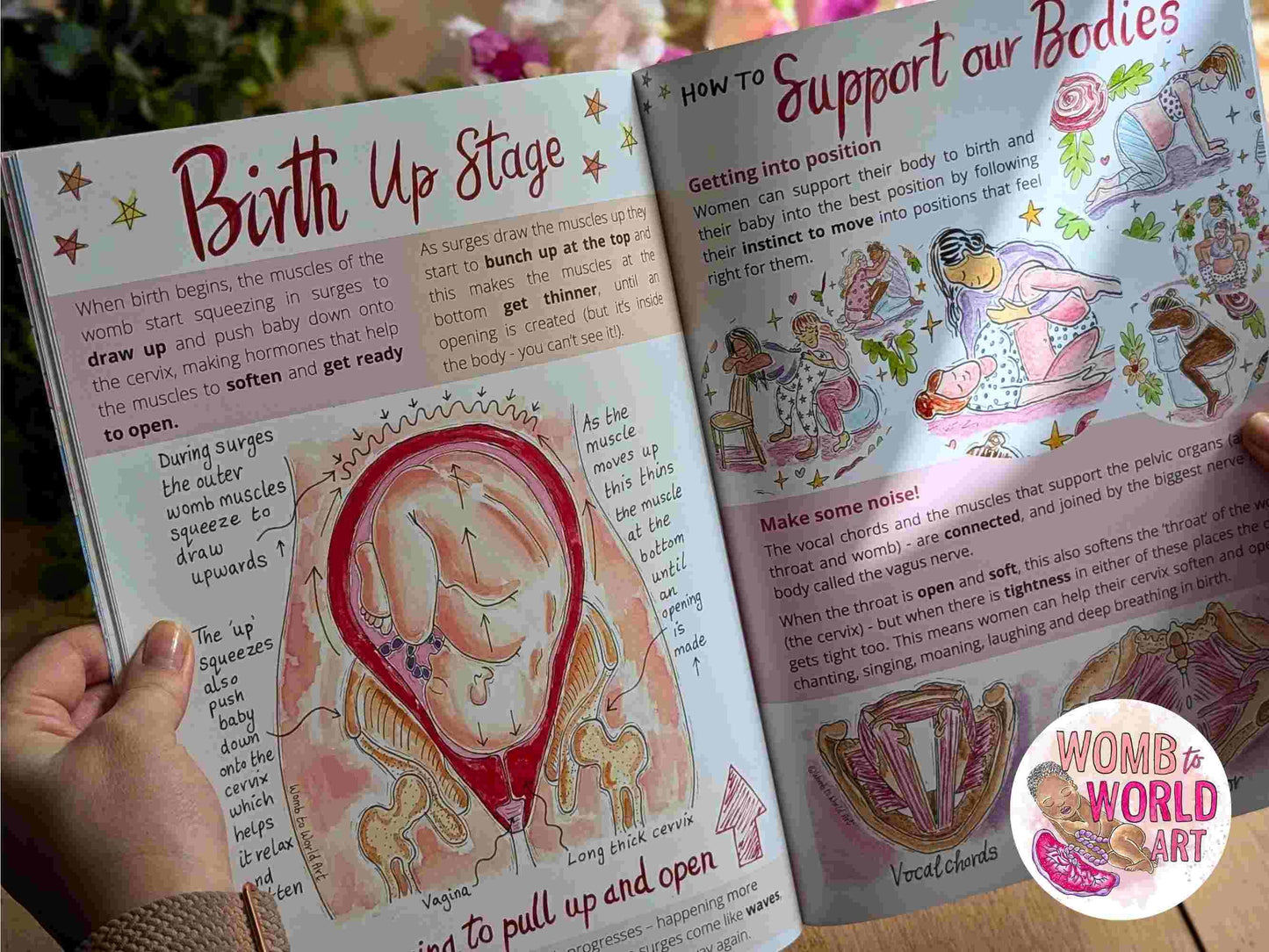 Children's Pregnancy & Birth Education Book | New Baby Book | Big Brother or Sister Gifts | Homebirth Gifts | Breastfeeding