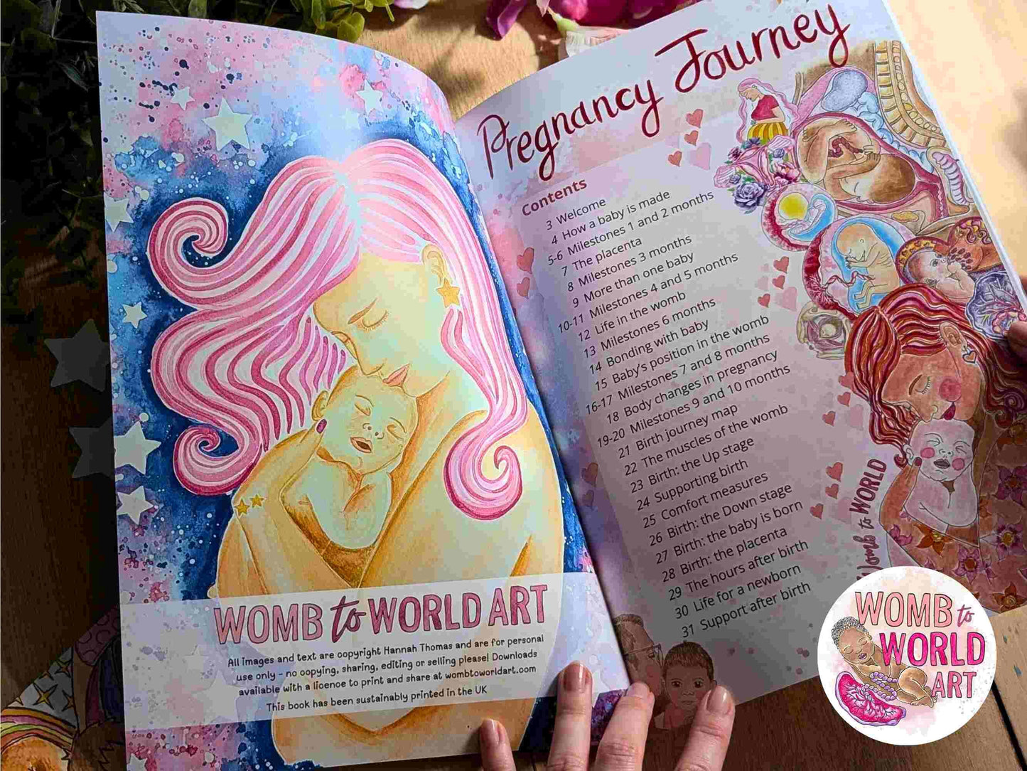 5 Pack Children's Pregnancy Books | Preparing Sibling New Baby | Big Brother and Sister Gift | Homeschool Science | Doula Birth Client Gift
