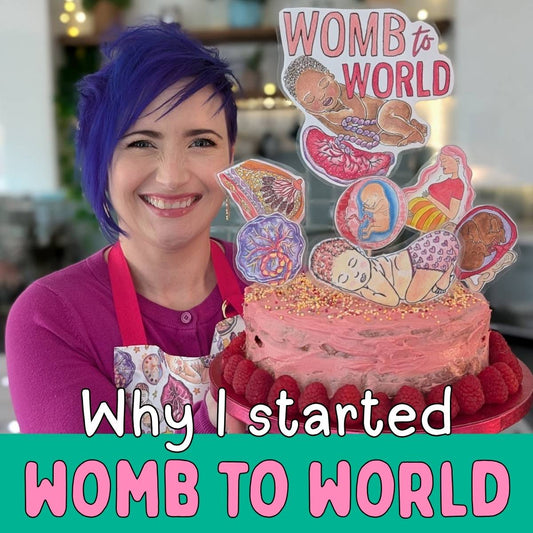 My Journey with Womb to World: How it Began
