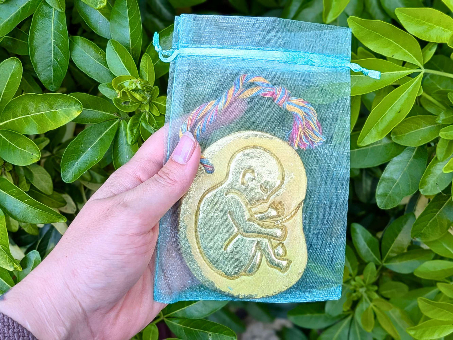 A hand holds a small translucent aqua drawstring pouch containing a gold-colored fetus, with a braided multicolor cord, set against a background of green leaves.