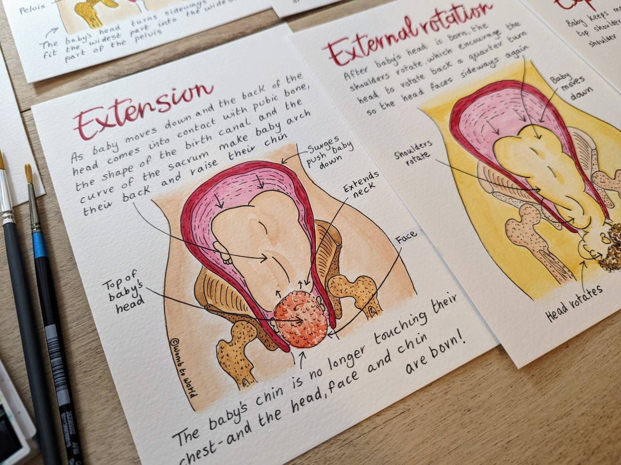 Cardinal Movements of Labour Illustrations: Doula Birth Teaching Tools (PDF Digital Download)