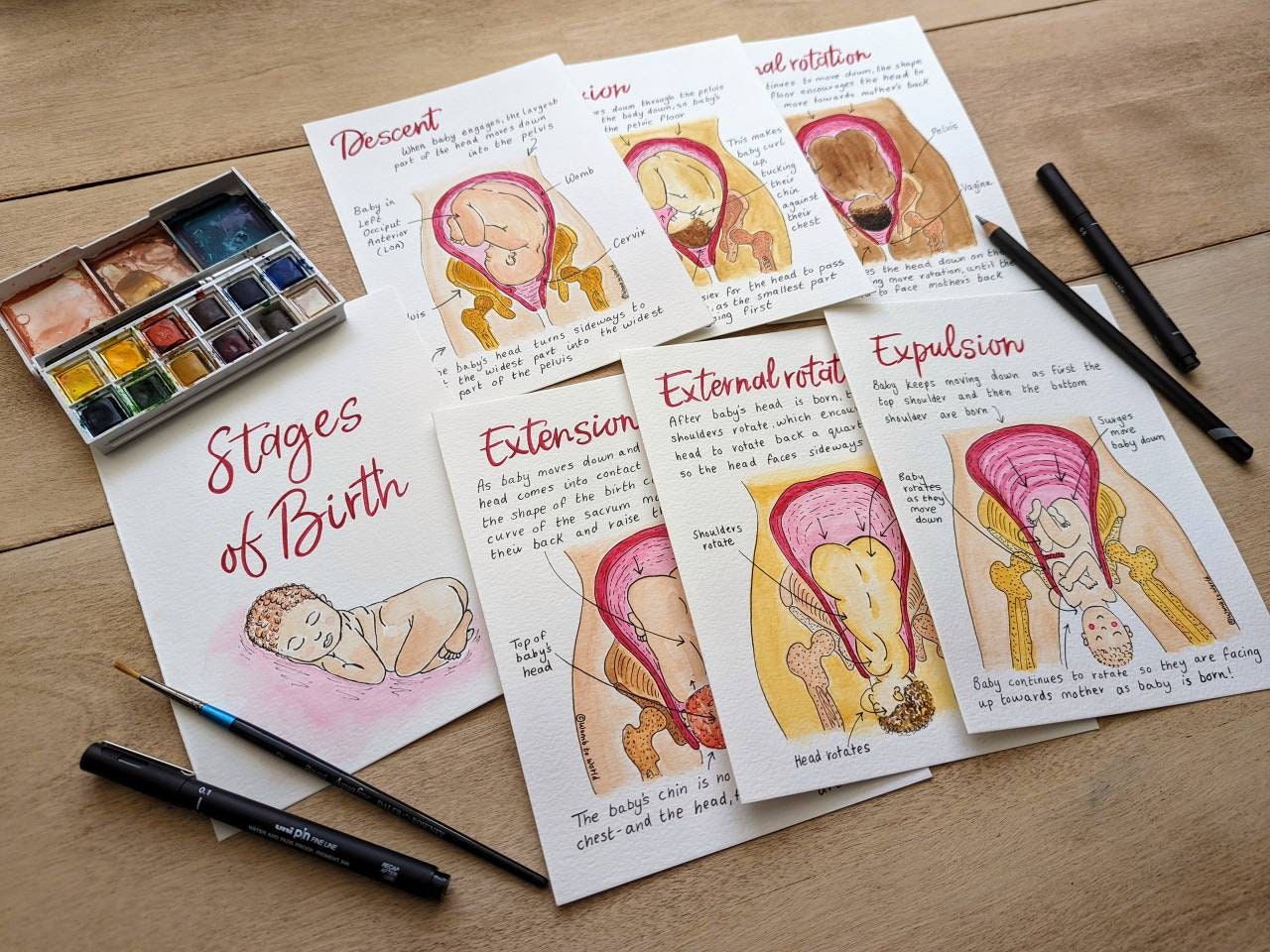 Cardinal Movements of Labour Illustrations: Doula Birth Teaching Tools (PDF Digital Download)