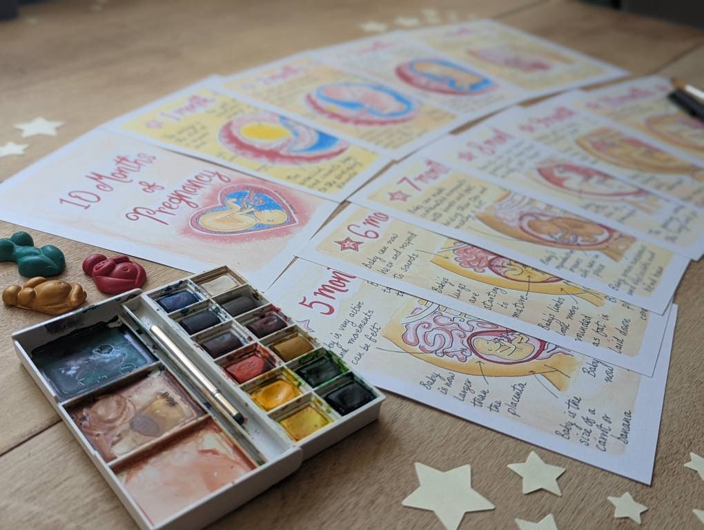 10 Months Pregnancy Illustrations Printouts: Fetal Development Stages Diagrams for Doulas (PDF Download)