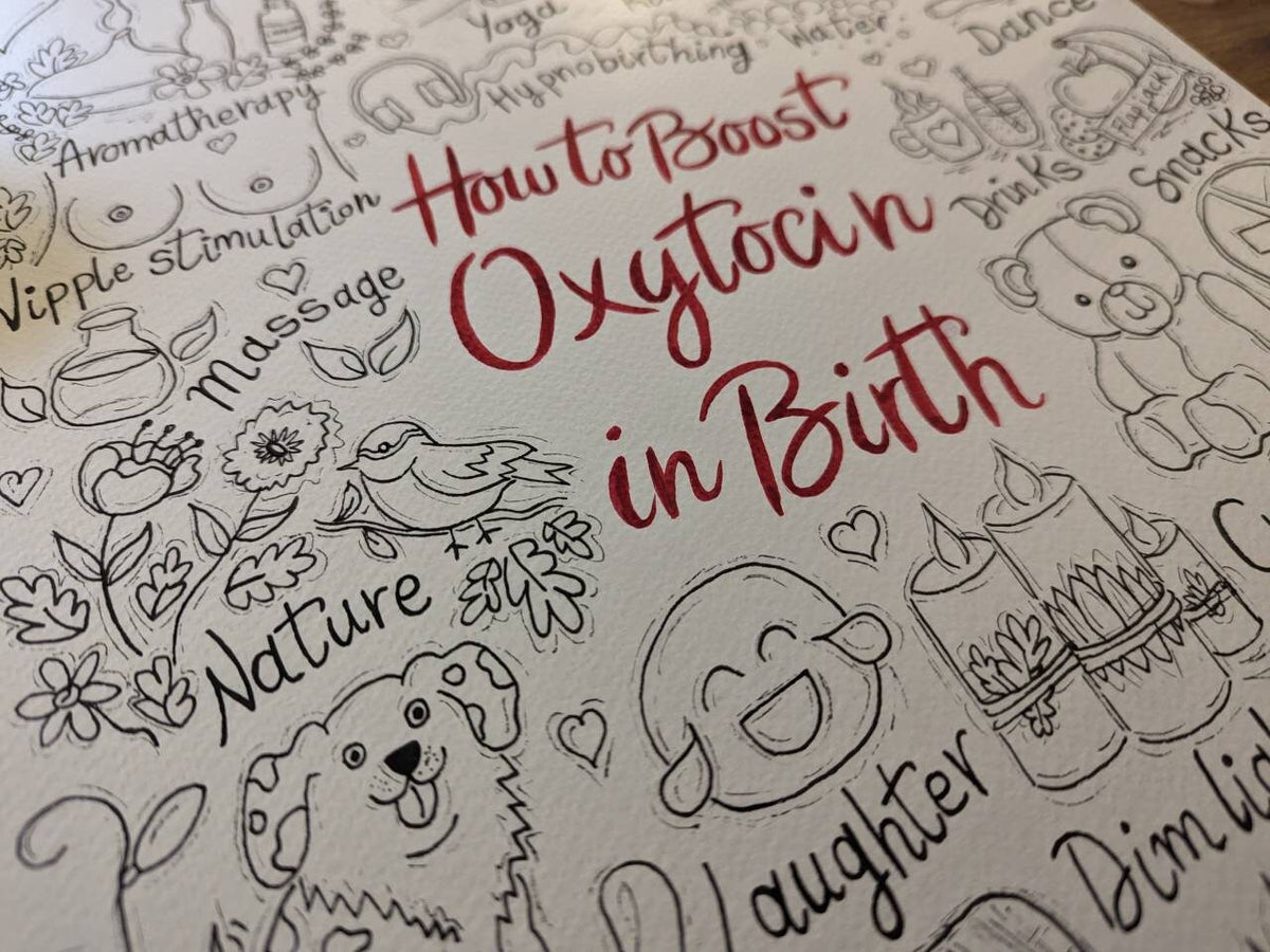Oxytocin Birth Poster: Labour Hormones, Antenatal Education (A3 Printout)