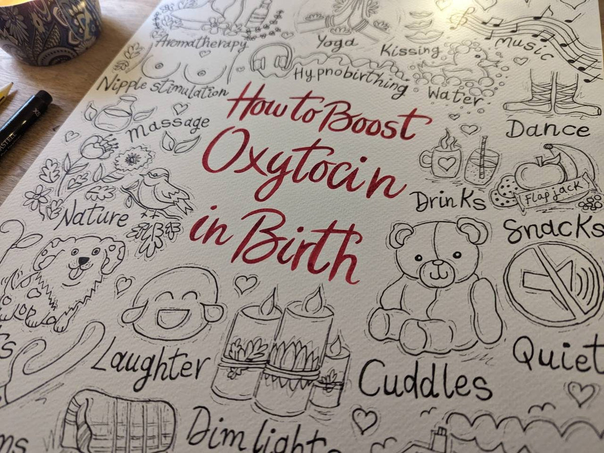 Oxytocin Birth Poster: Labour Hormones, Antenatal Education (A3 Printout)
