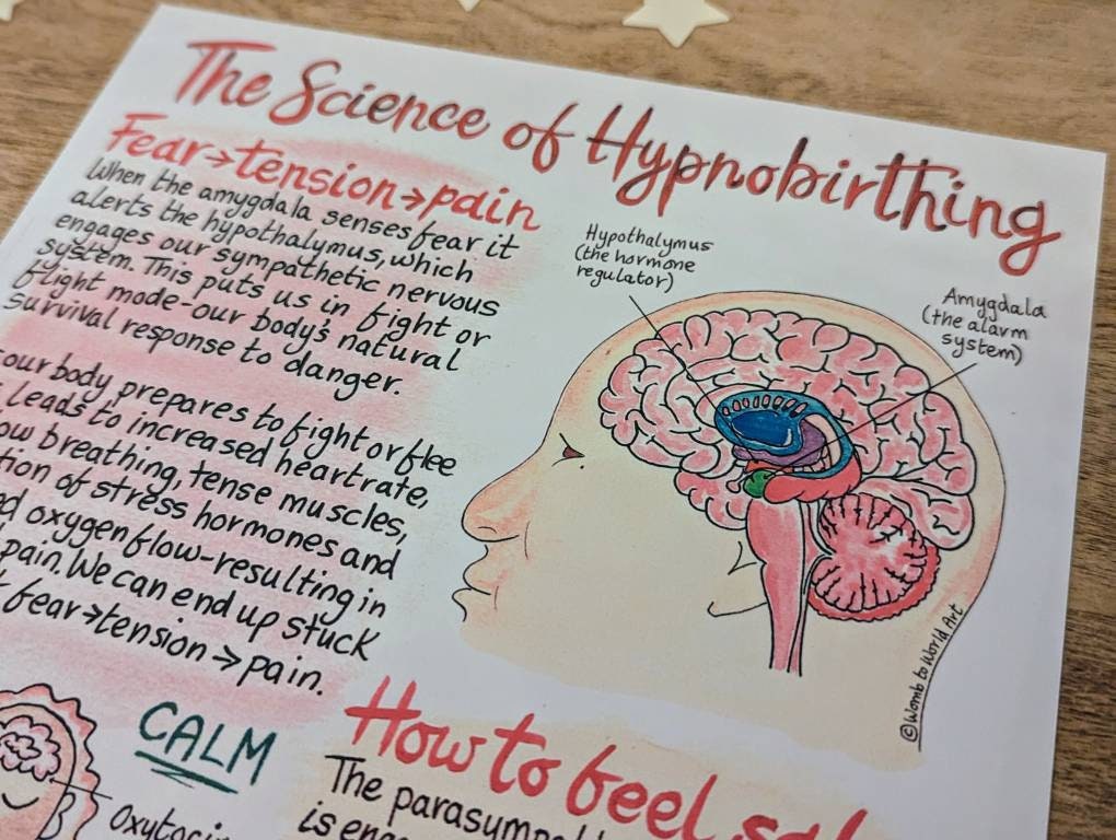 Science of Hypnobirthing Handout: Birth Education Printouts for Doulas and Antenatal Education (PDF Printout)