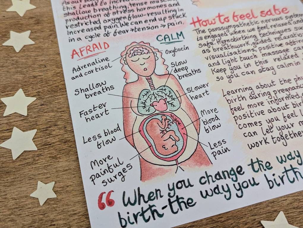 Science of Hypnobirthing Handout: Birth Education Printouts for Doulas and Antenatal Education (PDF Printout)