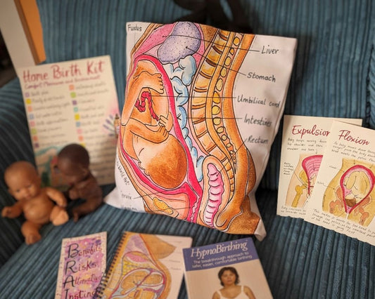 Student Midwife Bag