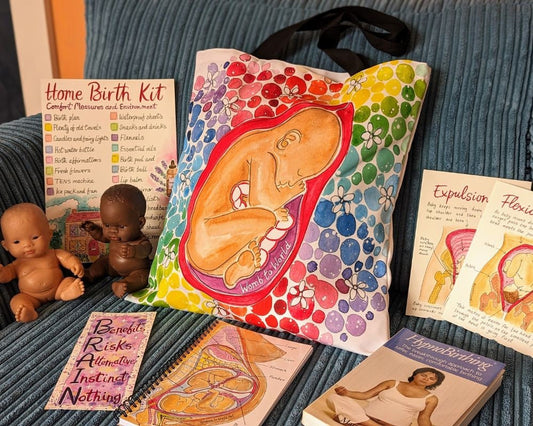 Rainbow Baby in Womb Bag | Pregnancy Maternity Bag | Doula Birth Bag | Hospital Bag | Midwife Gift Ideas