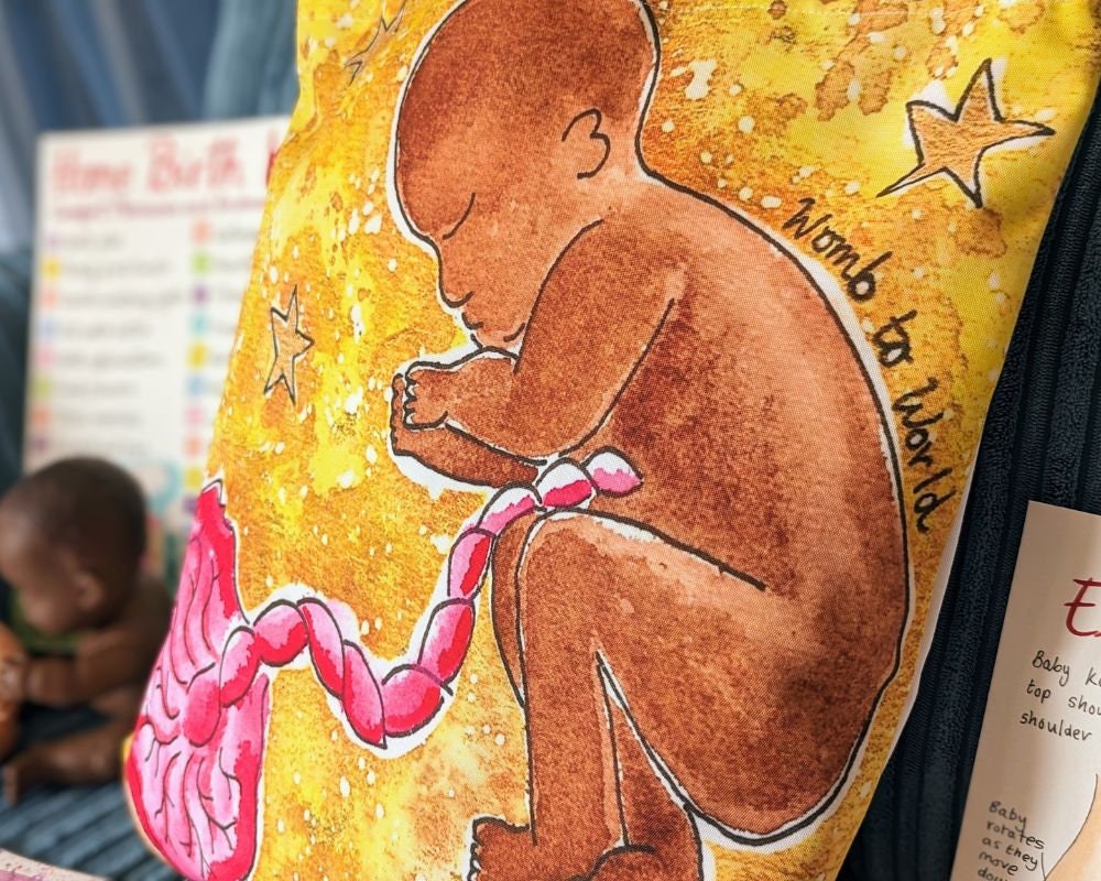 Baby in Womb Art Bag | Pregnancy Maternity Bag | Hospital Bag | Antenatal Education Gift | Midwife Gift