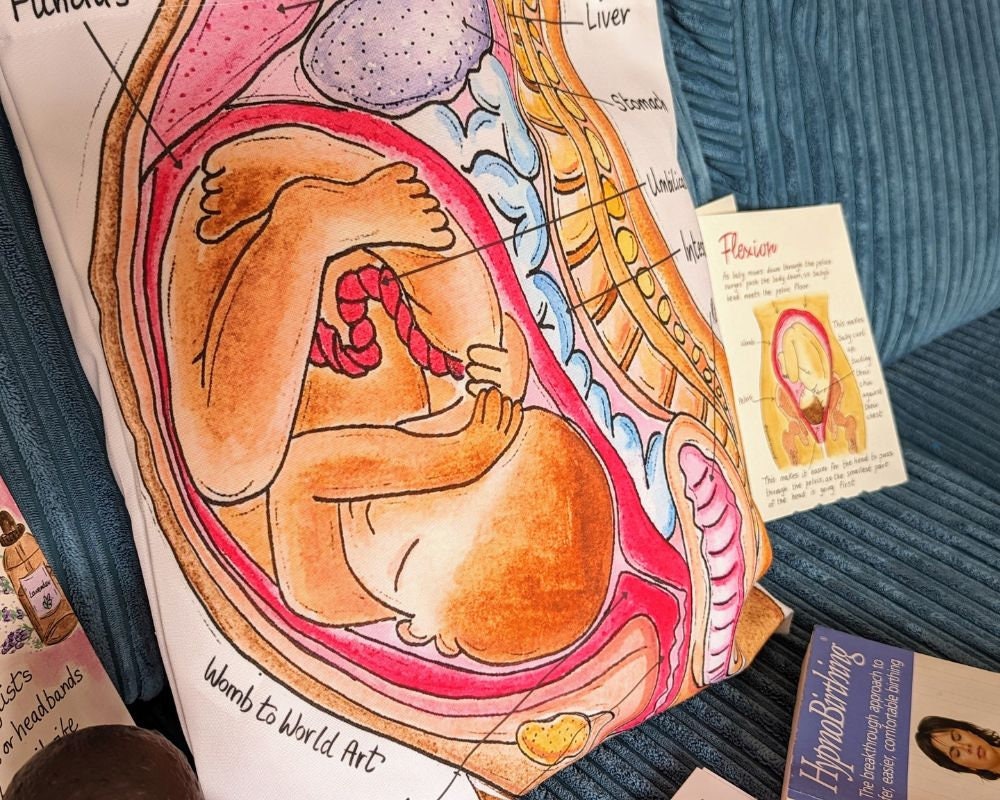 Student Midwife Bag
