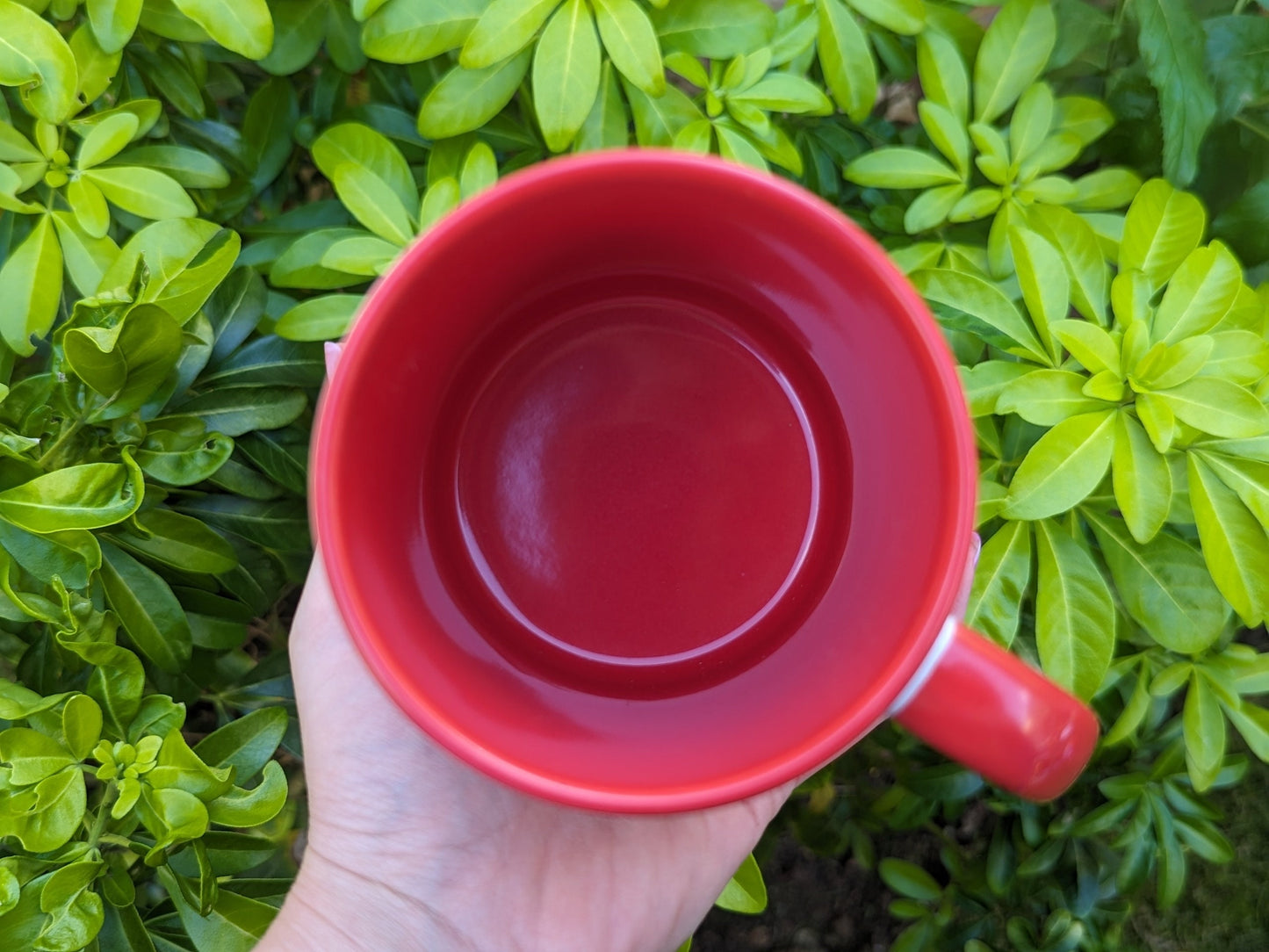 Womb Baby Pregnancy Mug