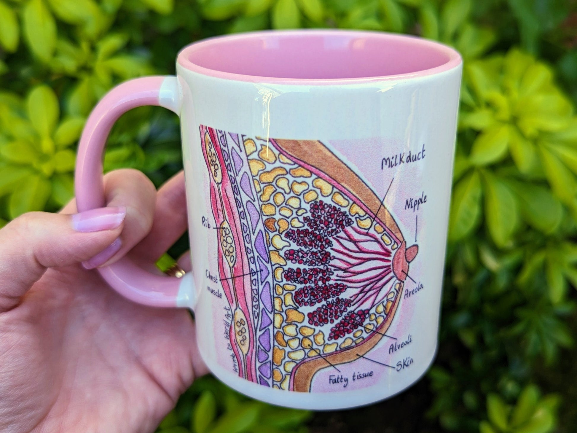 IBCLC gift idea breast mug