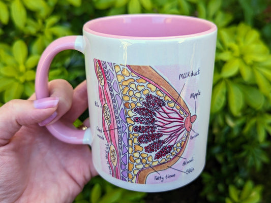 IBCLC gift idea breast mug