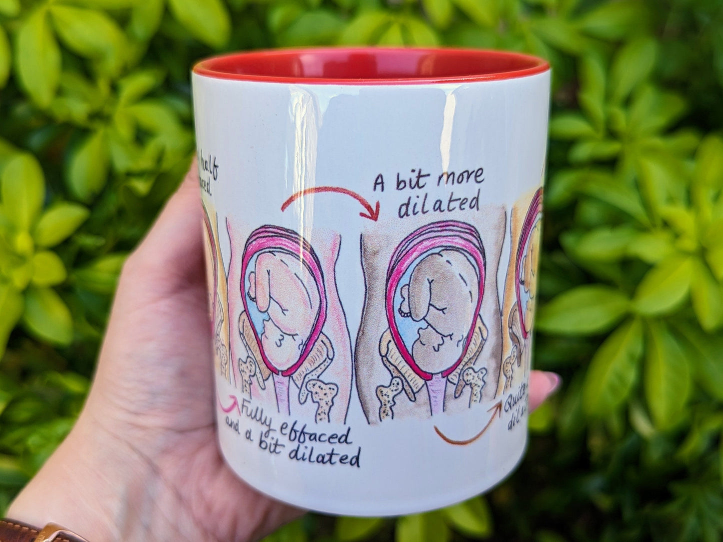 Soften and Open Cervical Dilation Mug | Birth Education | Doula Gift | Student Midwife | Pregnancy Mug | Birthworker