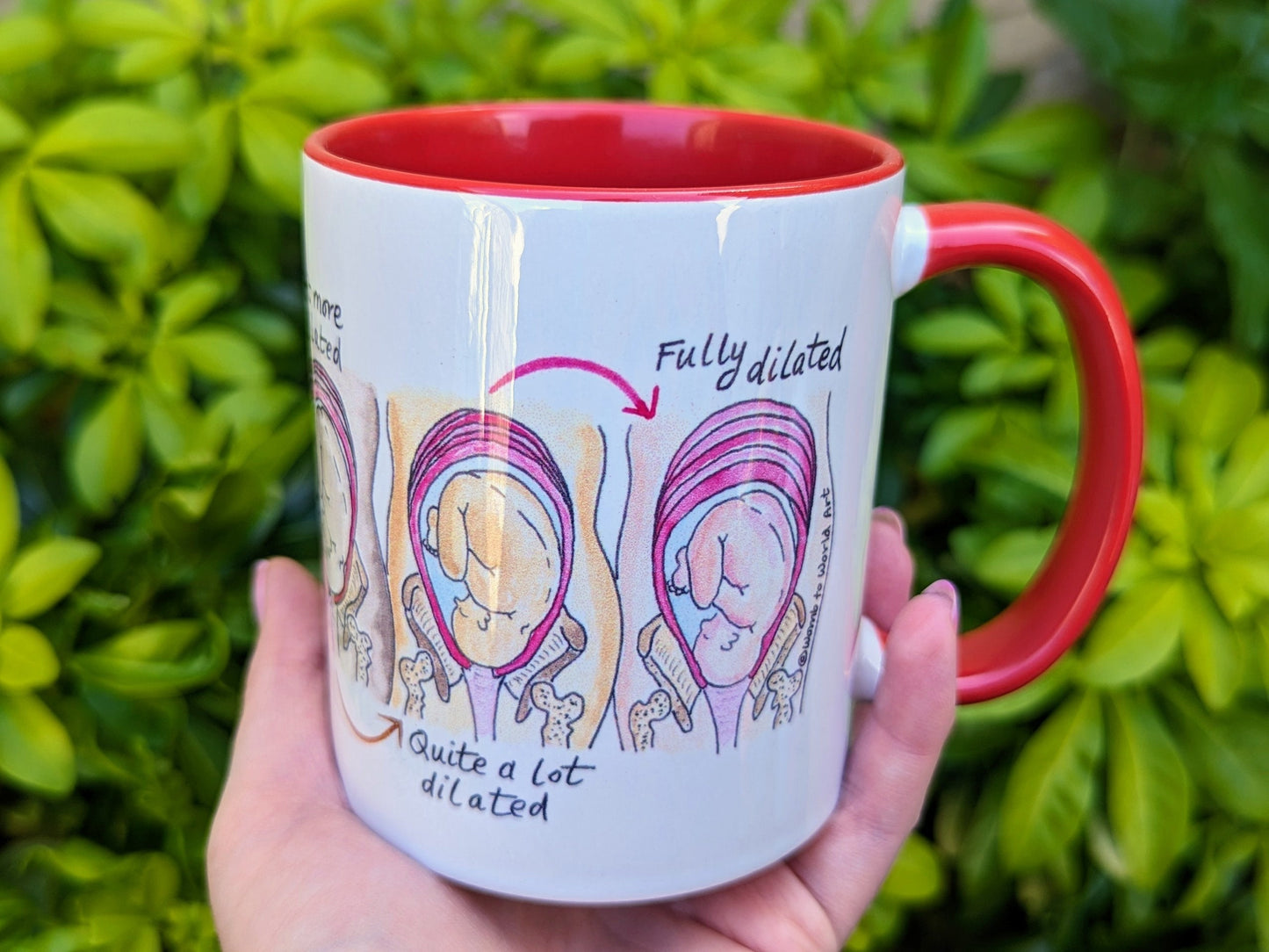 Soften and Open Cervical Dilation Mug | Birth Education | Doula Gift | Student Midwife | Pregnancy Mug | Birthworker