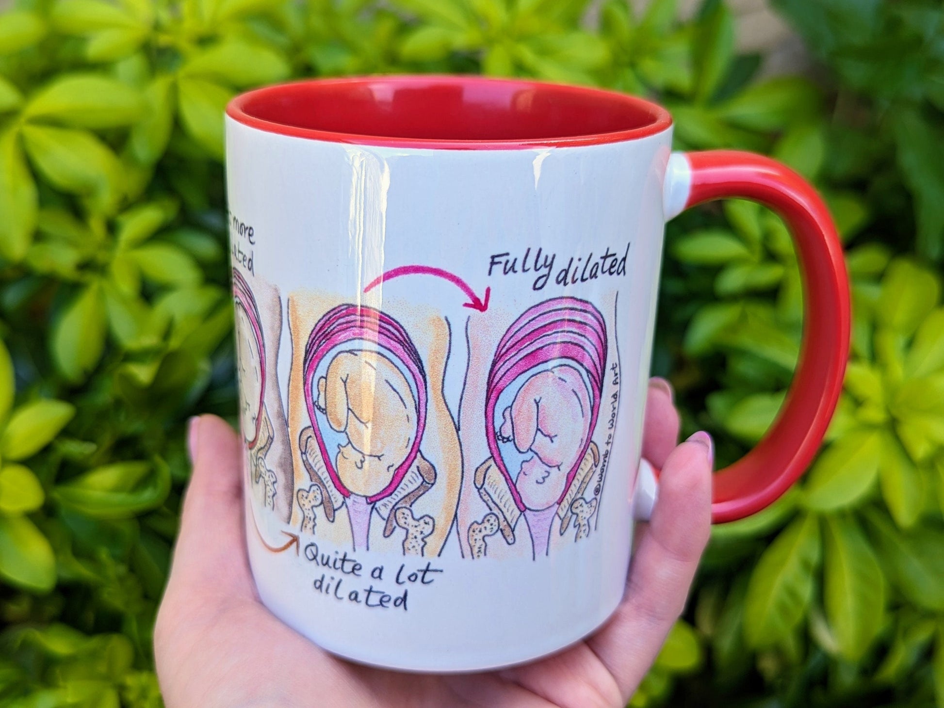 Soften and Open Cervical Dilation Mug | Birth Education | Doula Gift | Student Midwife | Pregnancy Mug | Birthworker