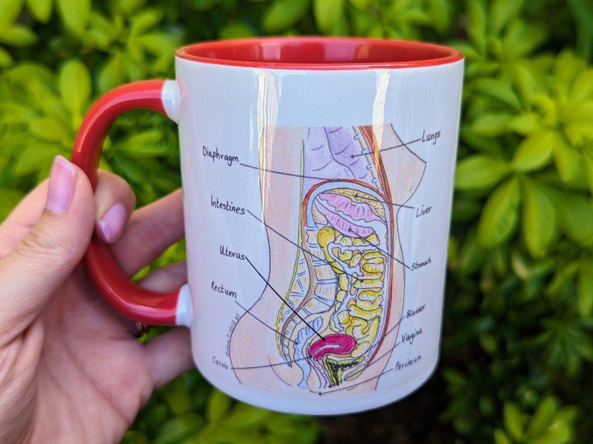 Student Midwife Mug | Birth Art | Doula Gift | Midwife | Pregnancy Mug | Birthworker | Student Midwife Gift Ideas