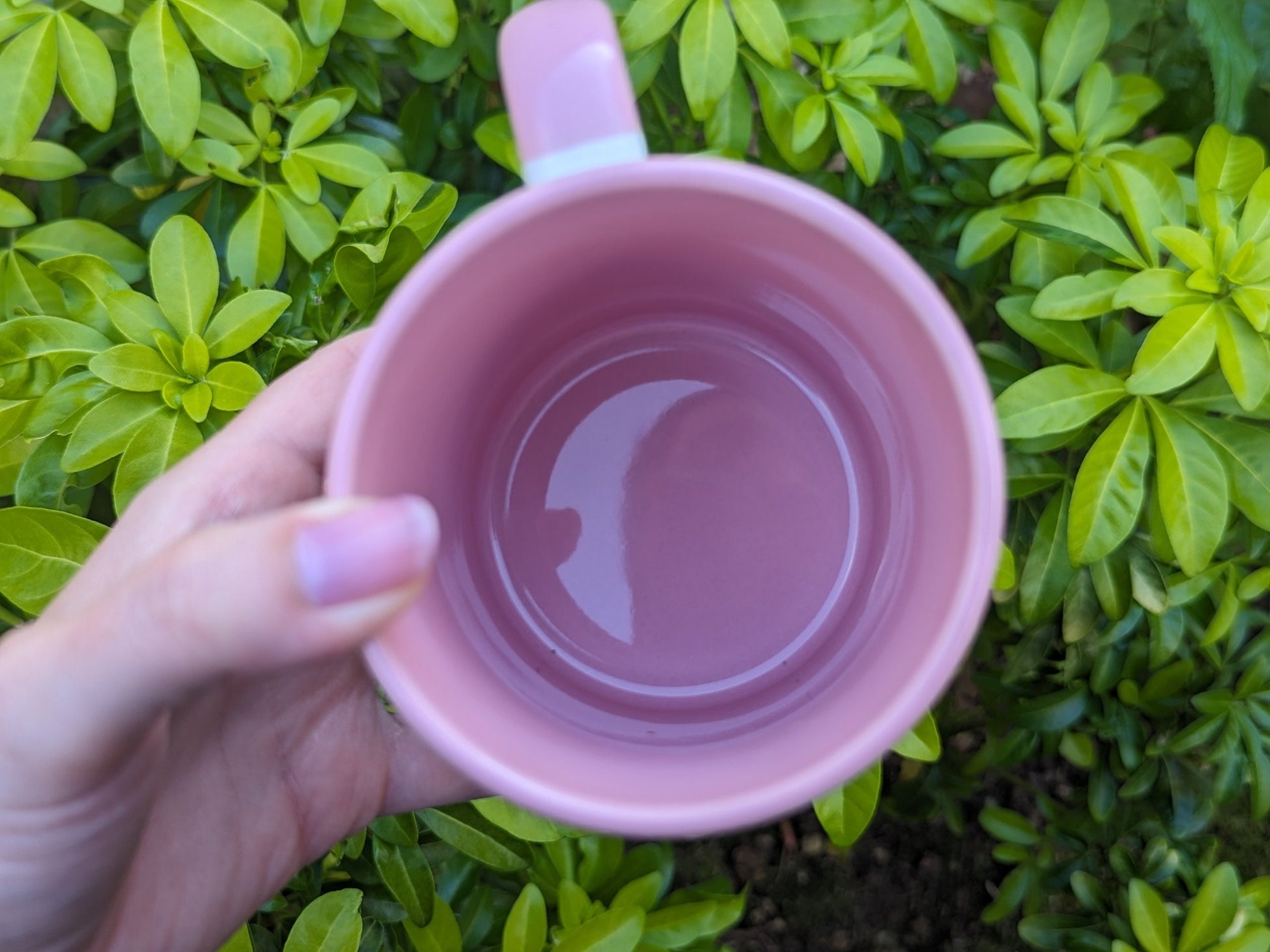Breast Anatomy Mug | Postpartum Doula Gift | Boob Mug | Midwife | Boobs | Birthworker | IBCLC Lactation Consultant Gift