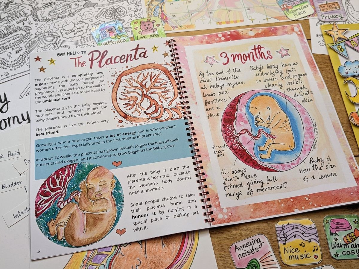Children&#39;s pregnancy and birth education activity pack by Womb to World Art