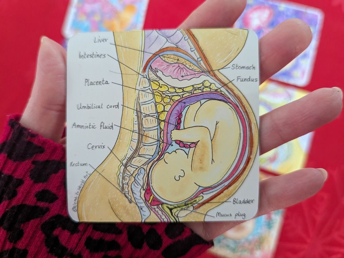 Birth Art Fridge Magnet