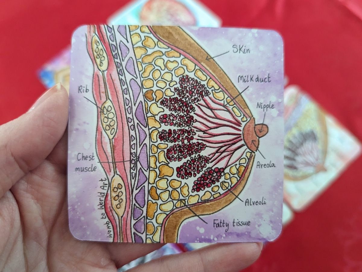 Birth Art Fridge Magnet