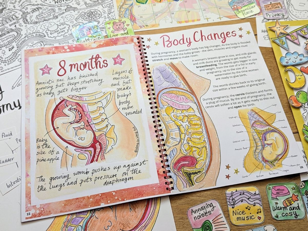 Children&#39;s pregnancy and birth education activity pack by Womb to World Art