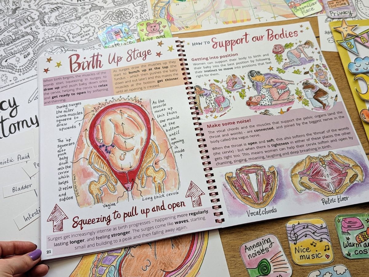Children&#39;s pregnancy and birth education activity pack by Womb to World Art