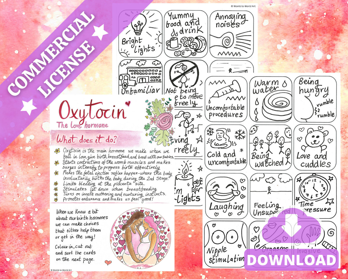 Oxytocin Labour Hormones Cards: Antenatal Birth Education (PDF Download)