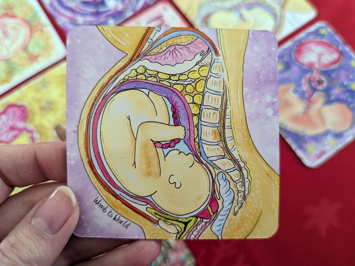 Birth Art Fridge Magnet