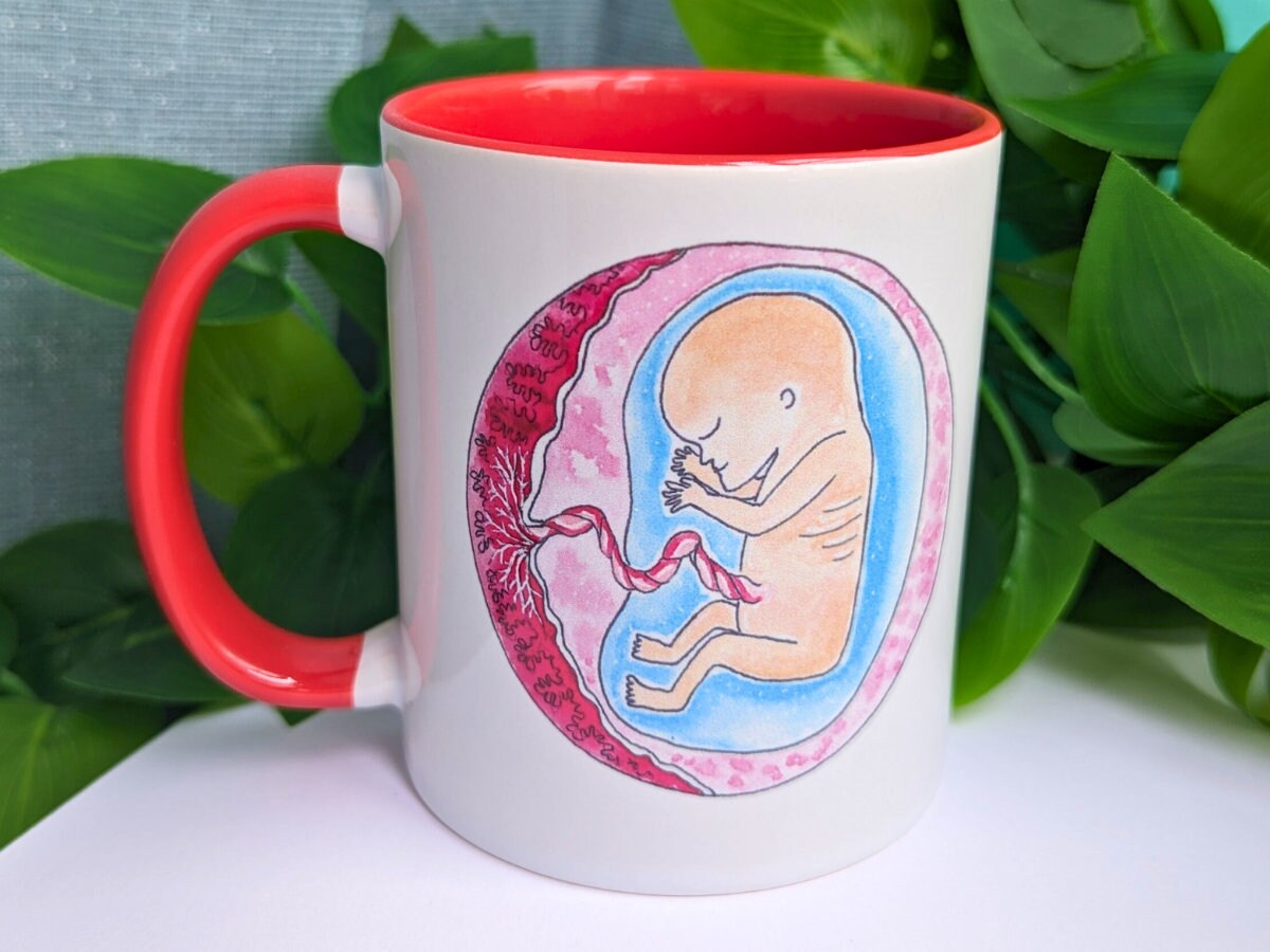 12 Week Fetus Baby in the Womb Mug