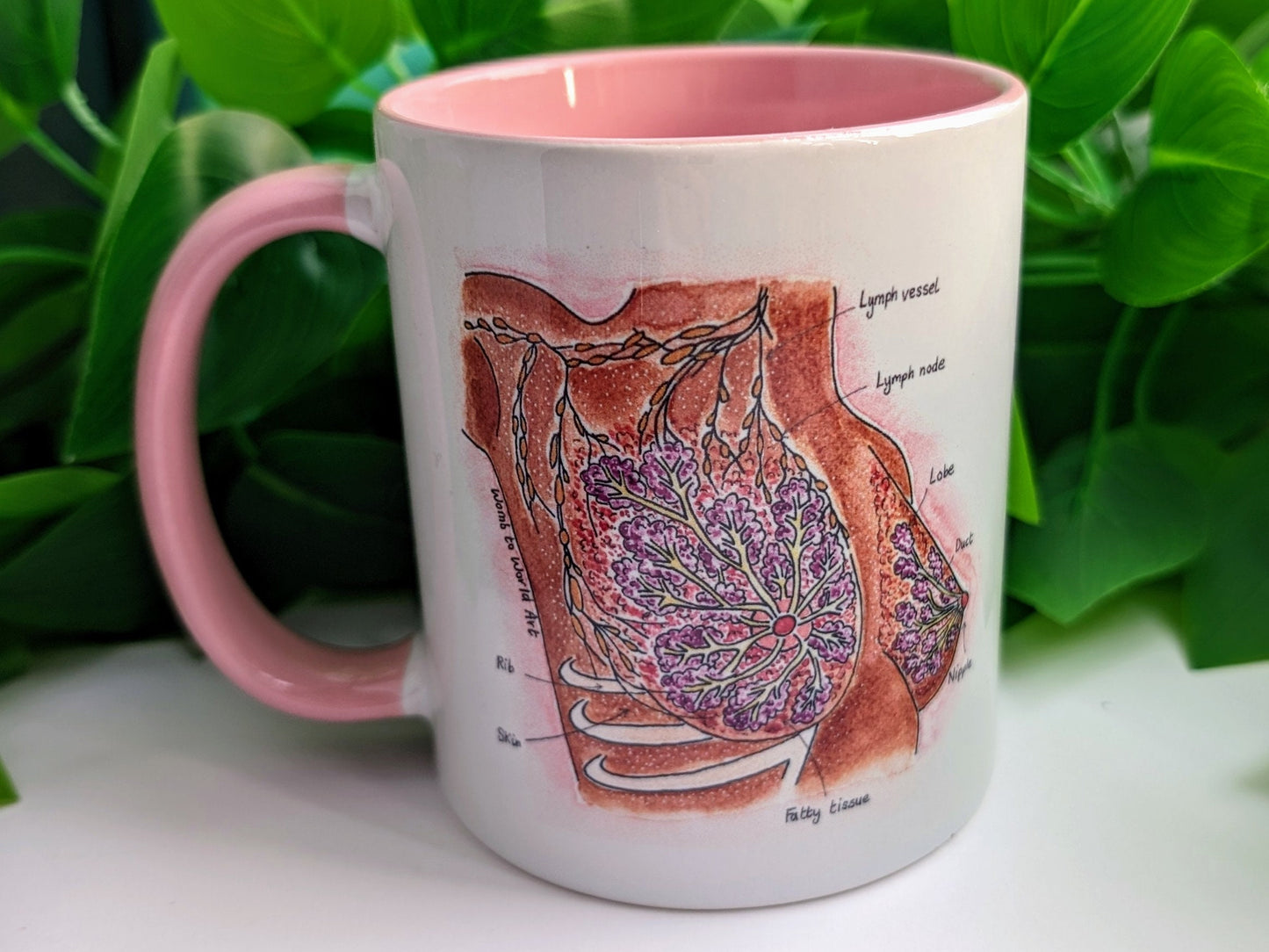 Breast Anatomy Mug: Lactation Consultant Gift, Birthworker Mug