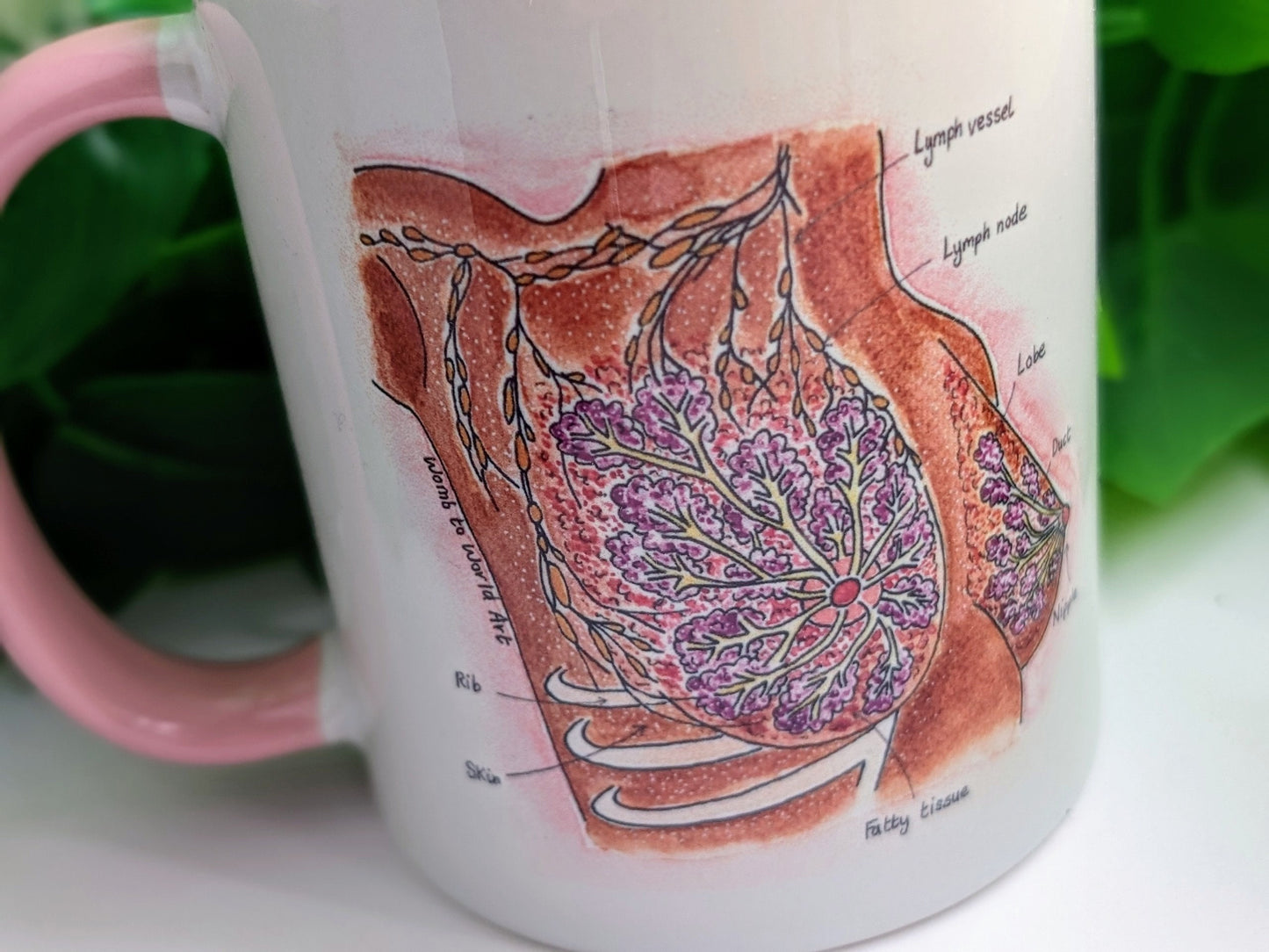 Breast Anatomy Mug: Lactation Consultant Gift, Birthworker Mug