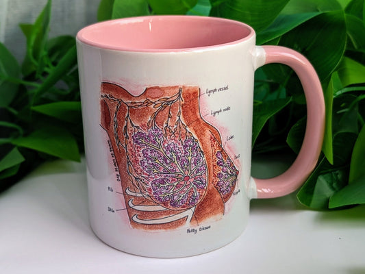 Breast Anatomy Mug: Lactation Consultant Gift, Birthworker Mug