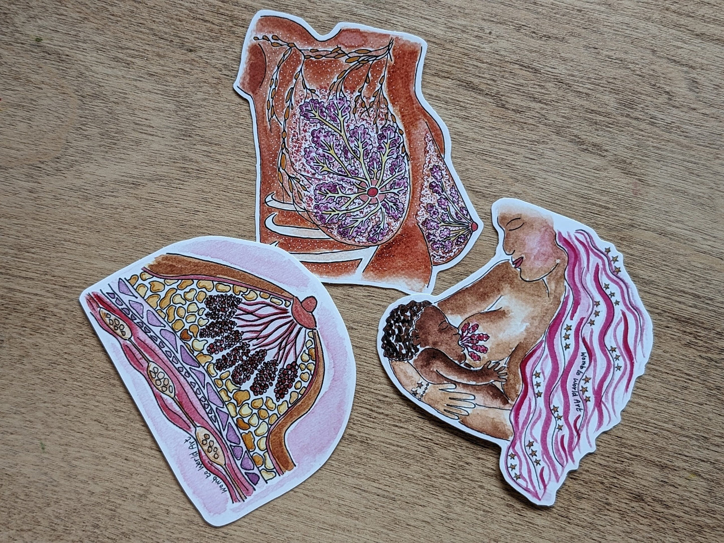 Breastfeeding Education Sticker Set | IBCLC | Lactation Consultant | Breastfeeding Peer Supporter | Breast Anatomy | Student Midwife