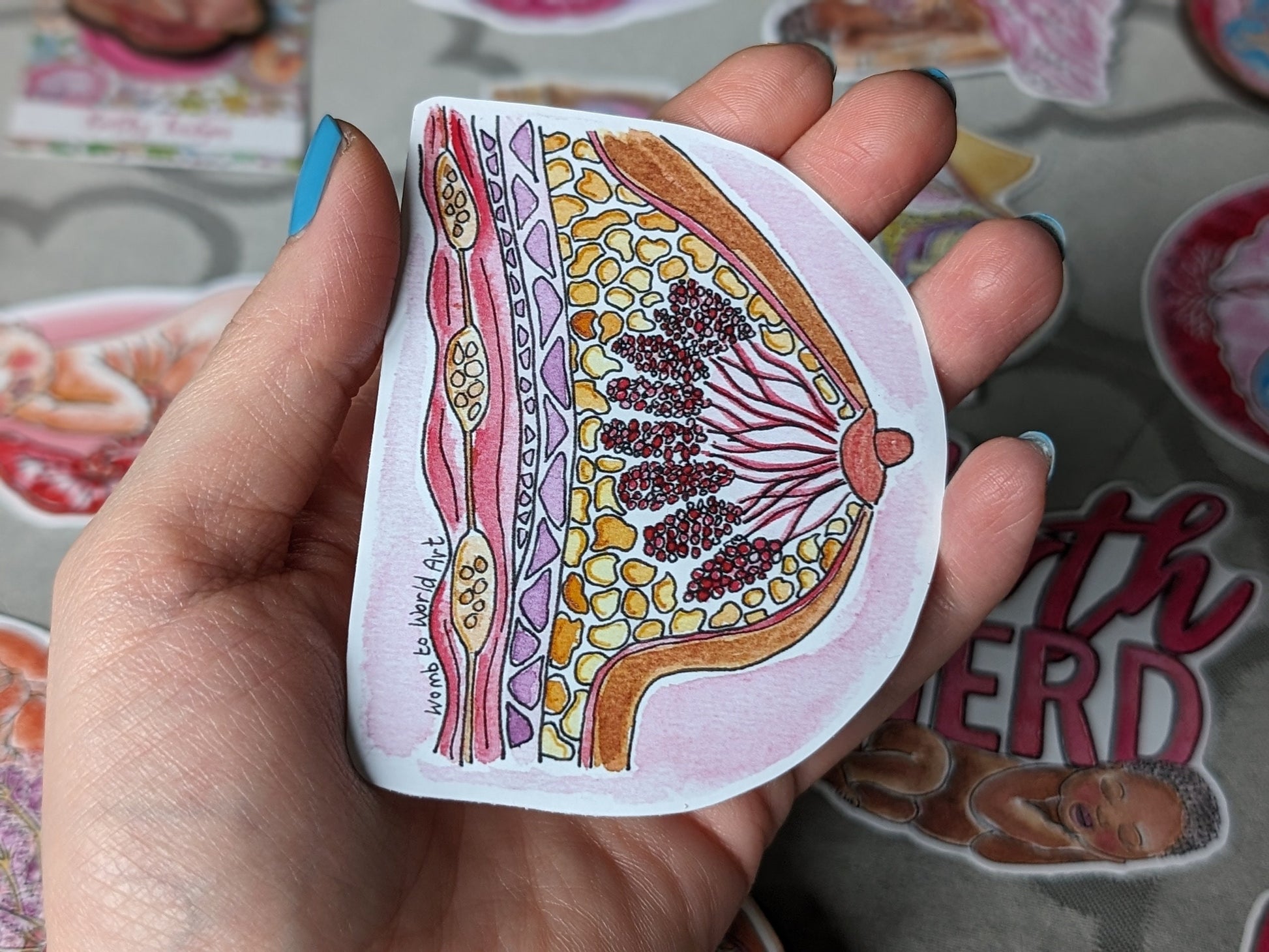 Breastfeeding Education Sticker Set | IBCLC | Lactation Consultant | Breastfeeding Peer Supporter | Breast Anatomy | Student Midwife