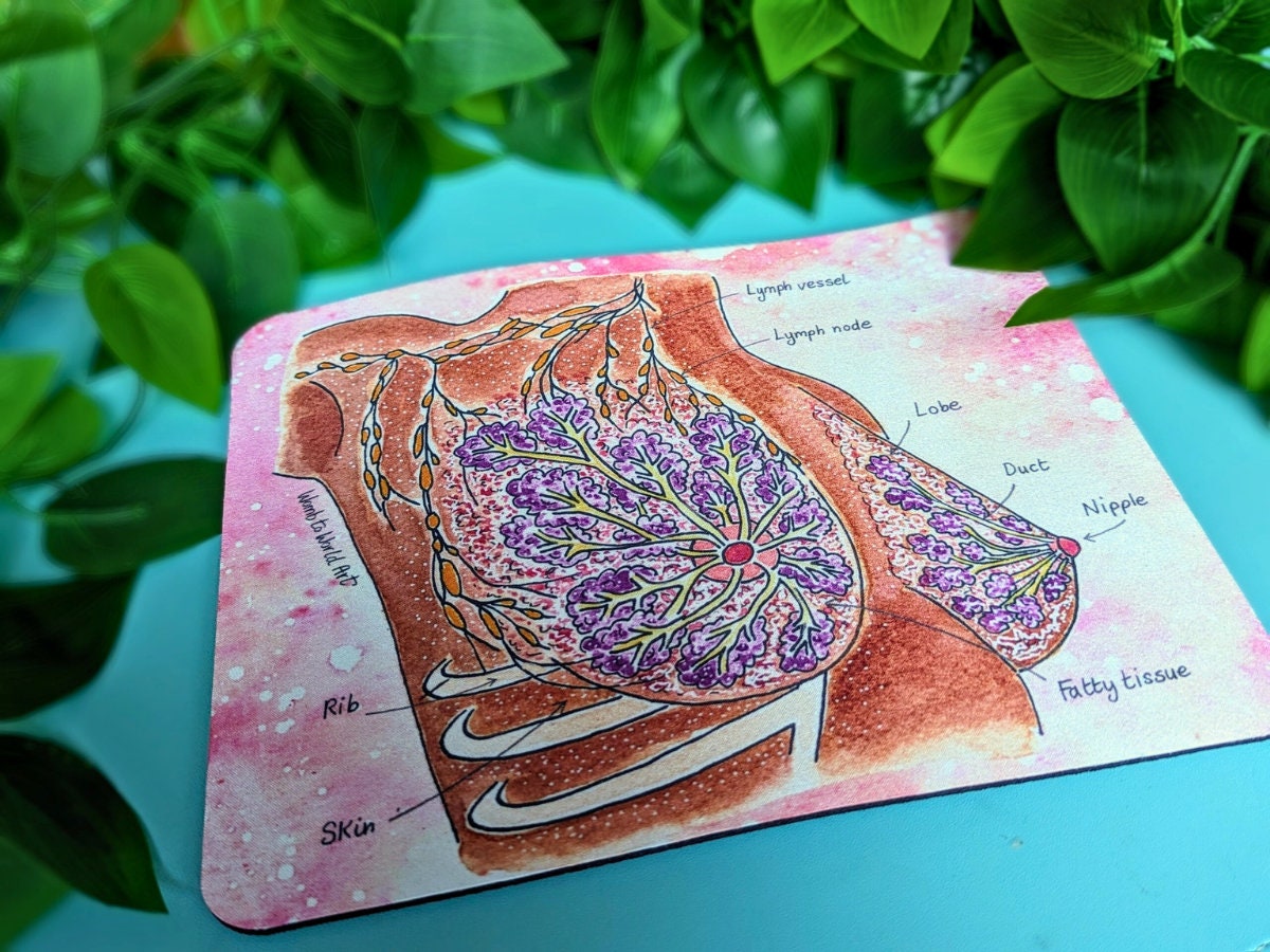 Lactation Consultant Mouse Mat Desk Pad | Breast Anatomy | IBCLC Day Breastfeeding Art | Student Midwife | Postnatal Doula