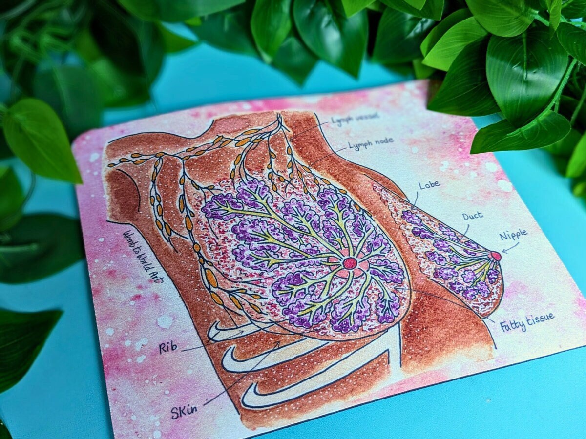Breast anatomy diagram mouse mat