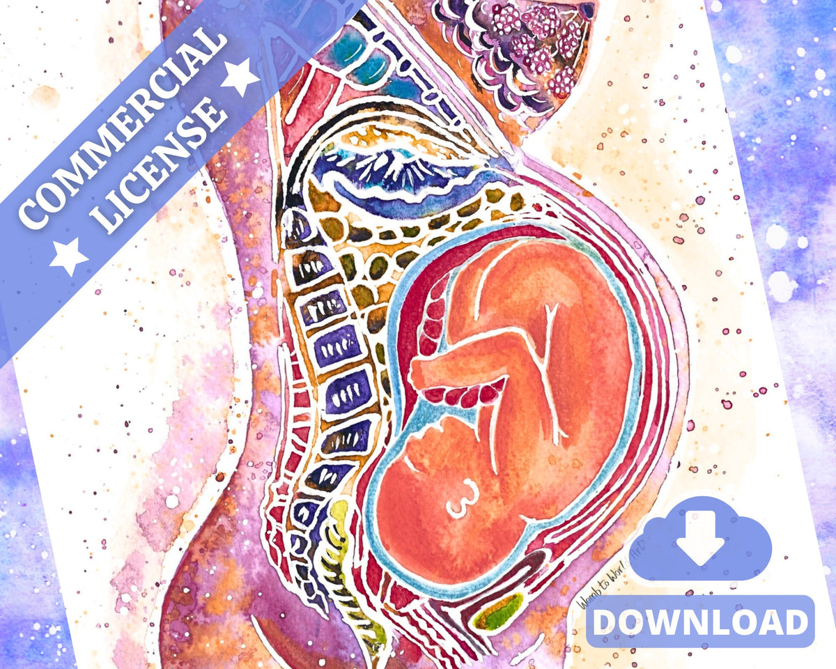 Pregnancy Anatomy Watercolour Art Print: Birth Education (PDF Download)