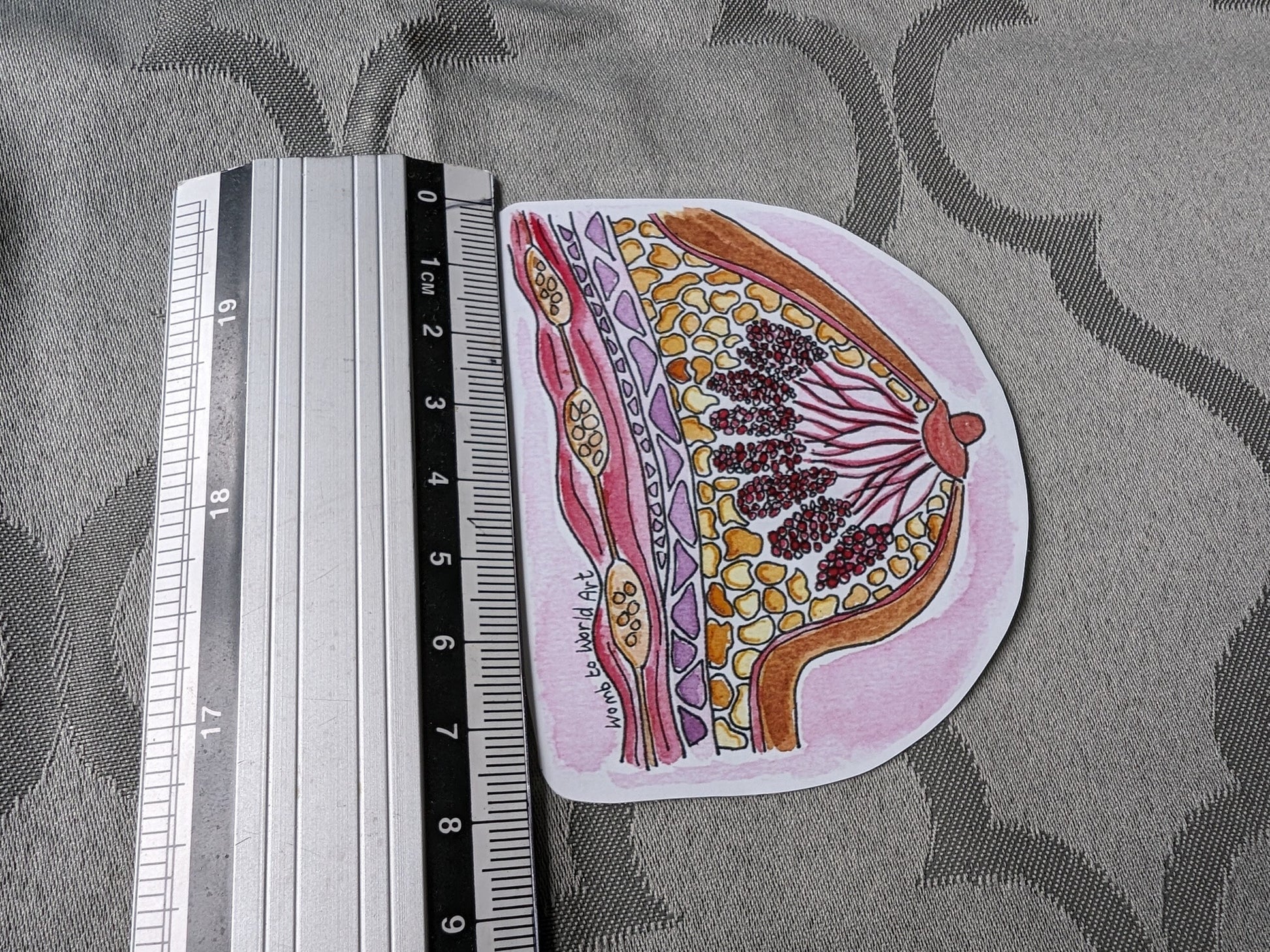 Breastfeeding Education Sticker Set | IBCLC | Lactation Consultant | Breastfeeding Peer Supporter | Breast Anatomy | Student Midwife