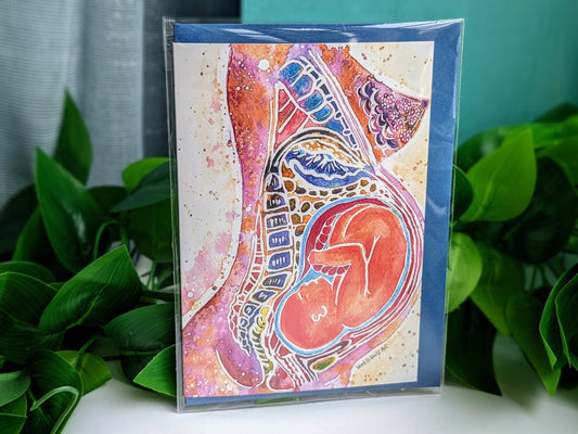 Pregnancy Anatomy Midwife Card
