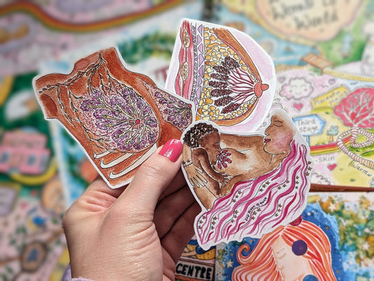 Breastfeeding Education Sticker Set | IBCLC | Lactation Consultant | Breastfeeding Peer Supporter | Breast Anatomy | Student Midwife