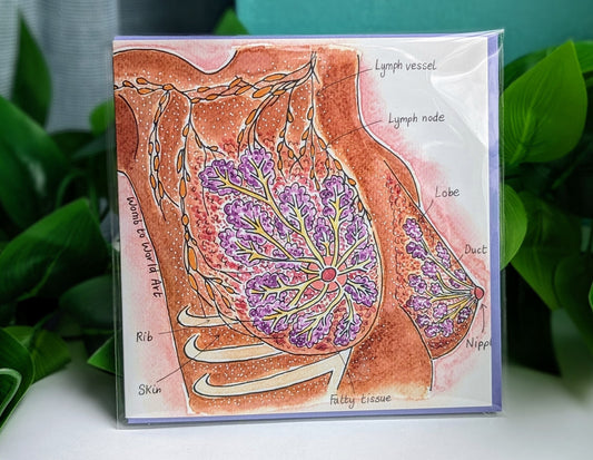 Breastfeeding Anatomy Watercolour Card: Lactation Consultant Gift IBCLC