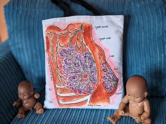 Breastfeeding Art Bag | Breast Anatomy | Postnatal Doula | IBCLC Lactation Consultant Gift | Breastfeeding Counsellor