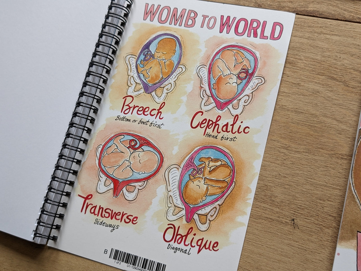 Baby Bits Doula Notebook